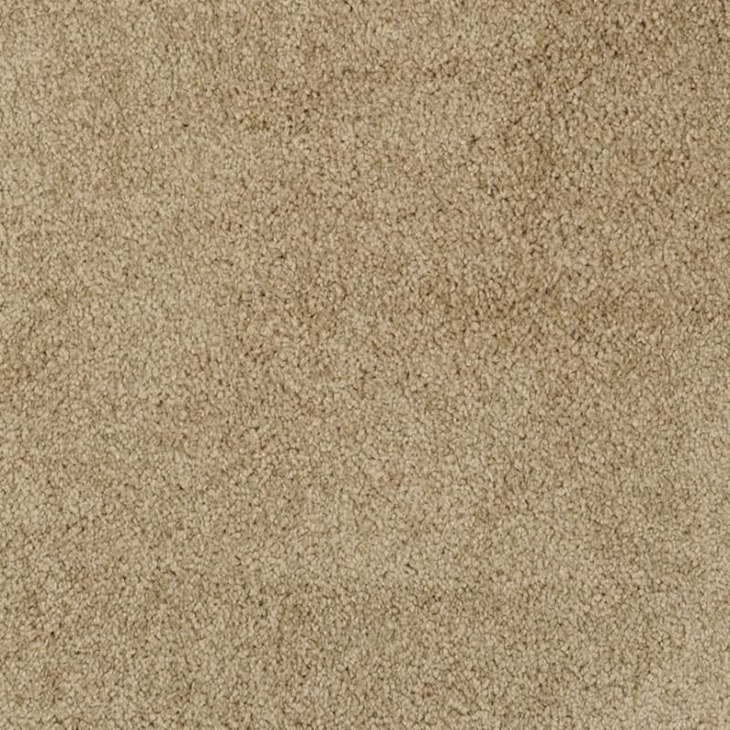 Miami carpet by Masland