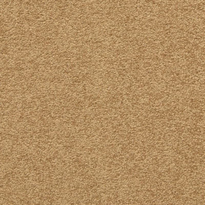 Patriot carpet by Masland