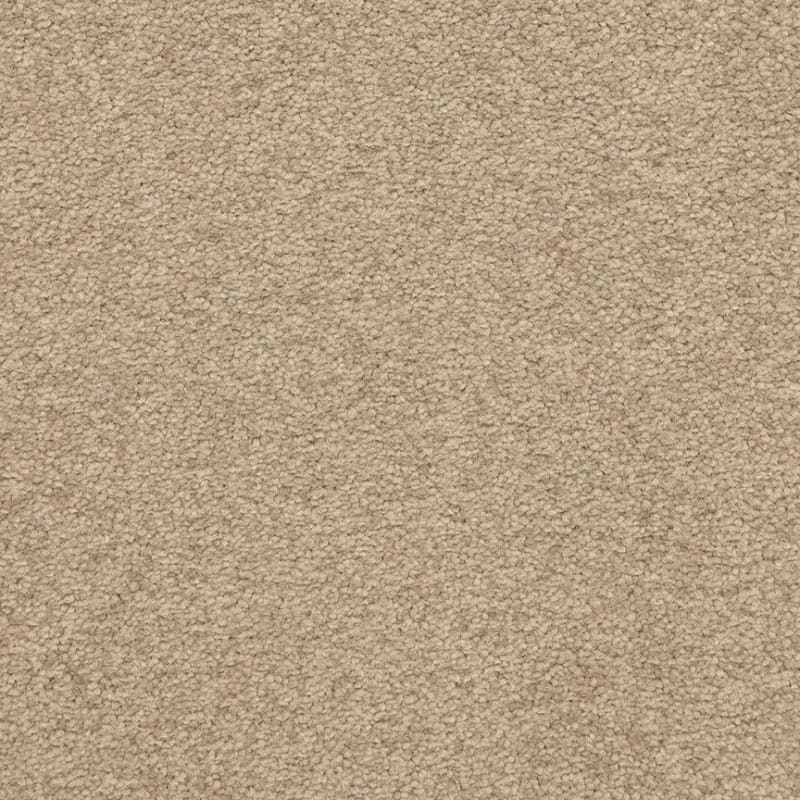 Patriot carpet by Masland