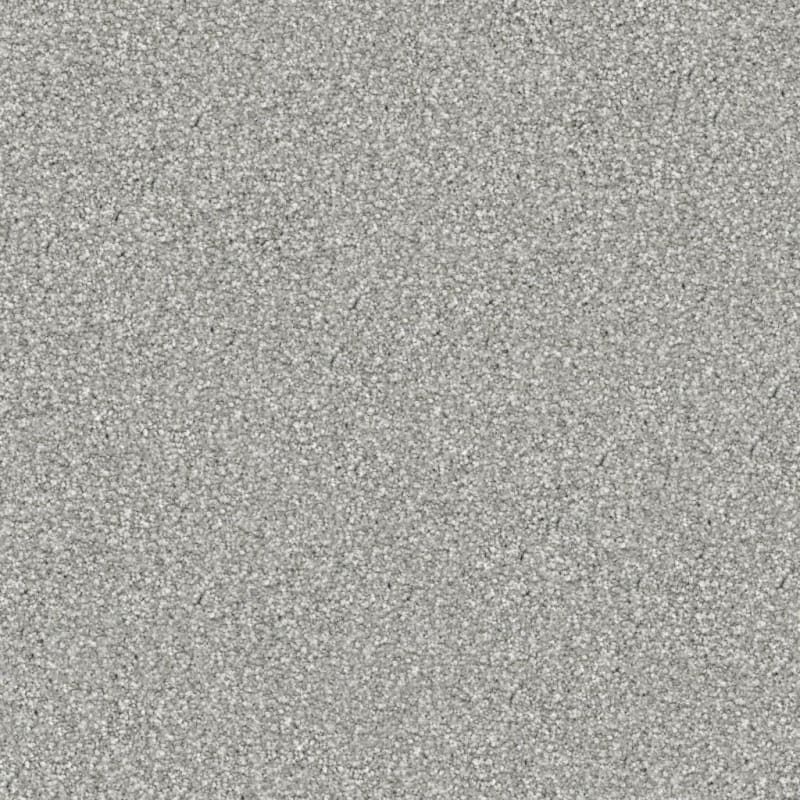 Tracker carpet by Masland
