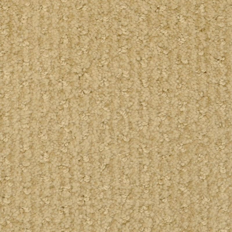 Pinehurst carpet by Masland