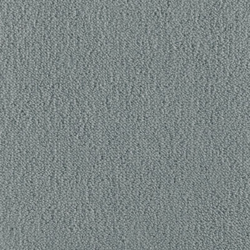 Panache carpet by Masland