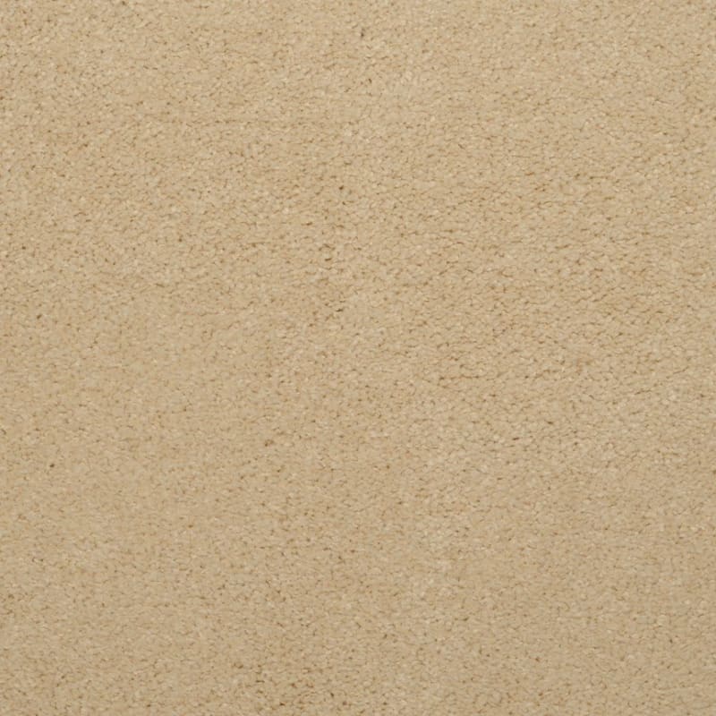 Embrace carpet by Masland