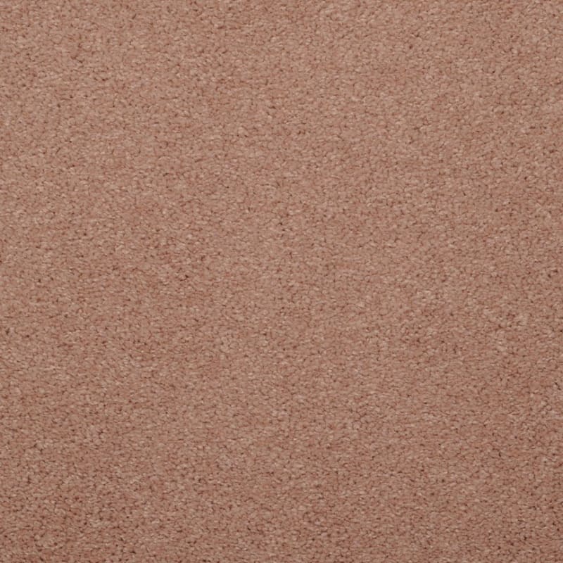 Embrace carpet by Masland