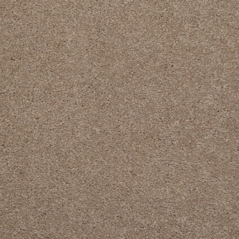 Embrace carpet by Masland