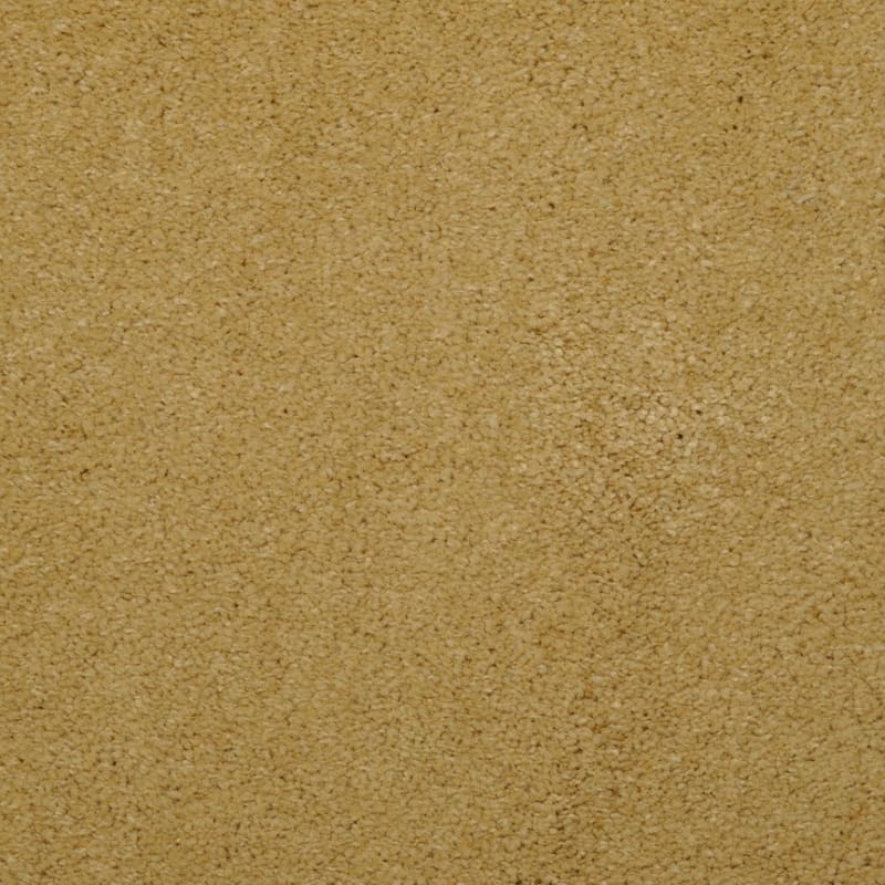 Embrace carpet by Masland