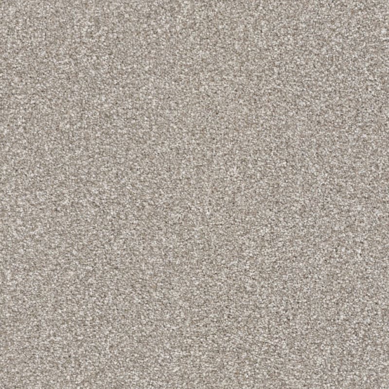 Tracker carpet by Masland
