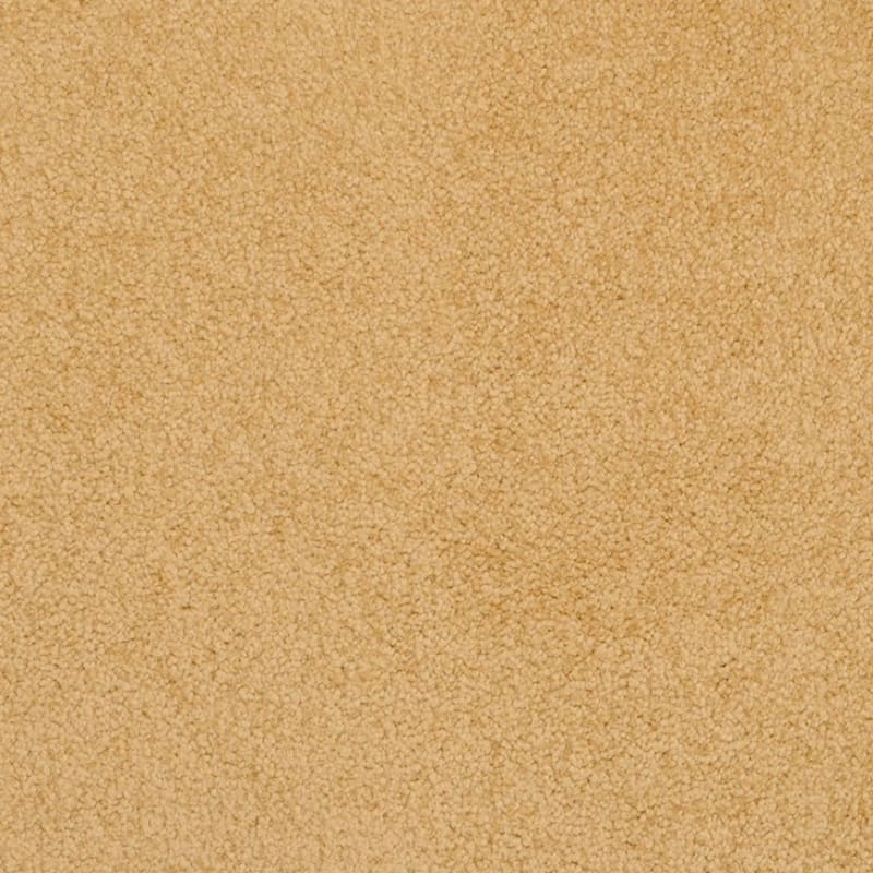Americana carpet by Masland