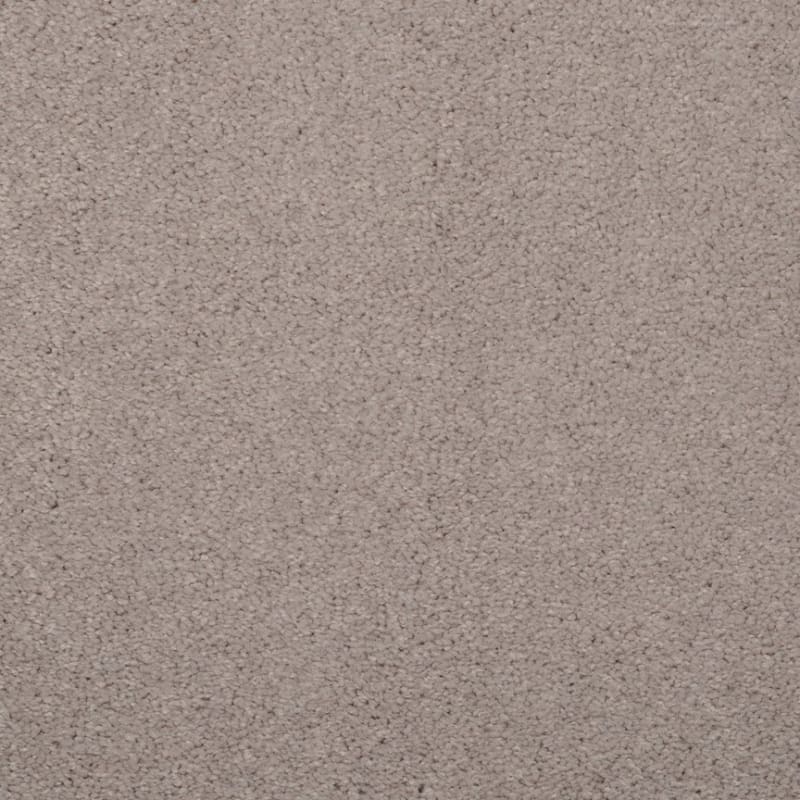 Embrace carpet by Masland