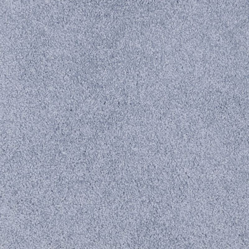 Miami carpet by Masland