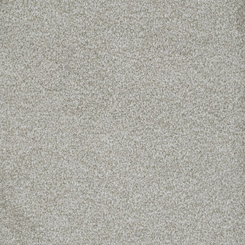 Boca Raton carpet by Masland