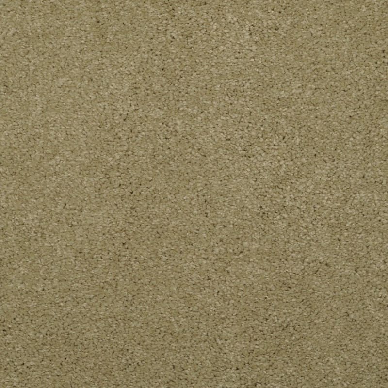 Embrace carpet by Masland