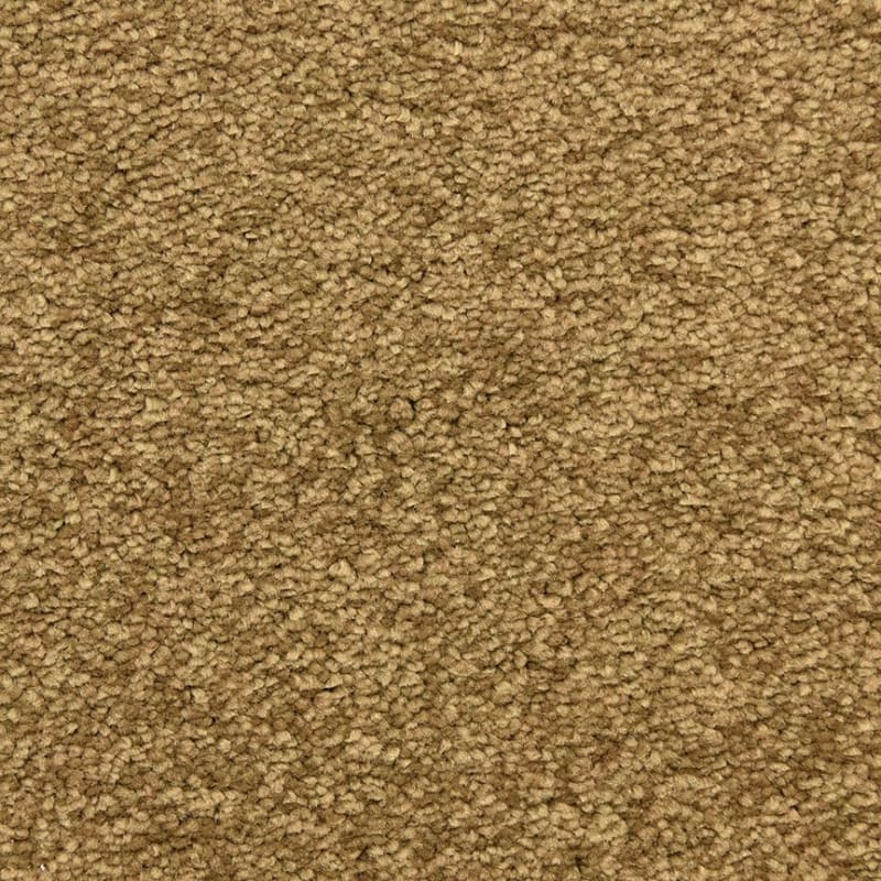 Morgan Bay carpet by Masland