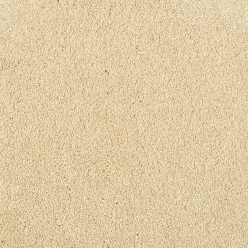Miami carpet by Masland