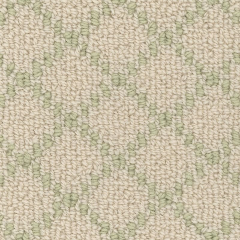 Charmant carpet by Masland