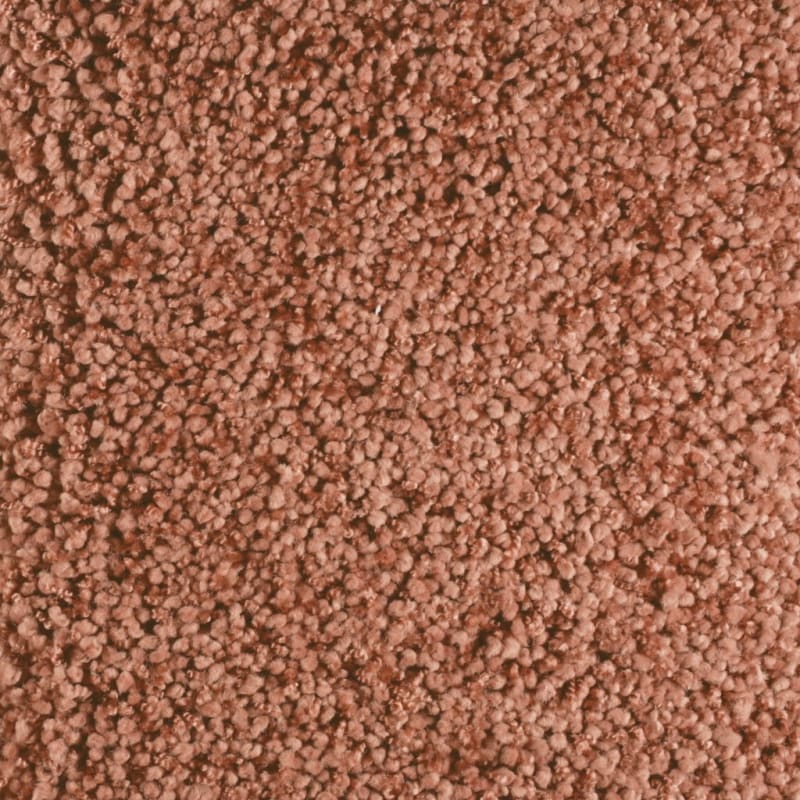 Shangri-La carpet by Masland