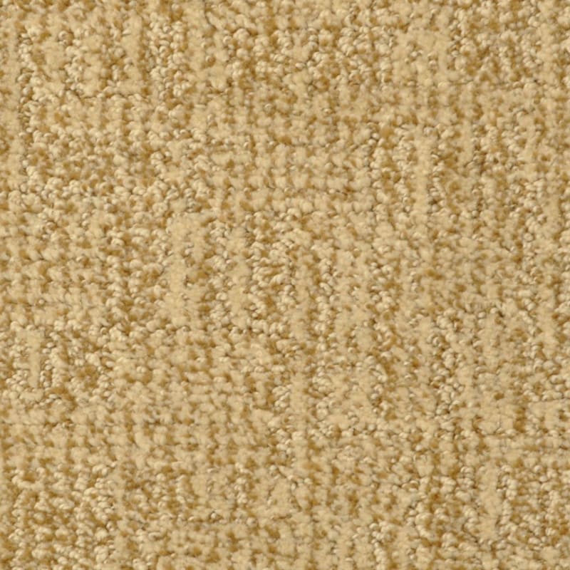 Casa Grande carpet by Masland