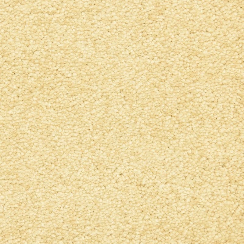 Vero Beach carpet by Masland