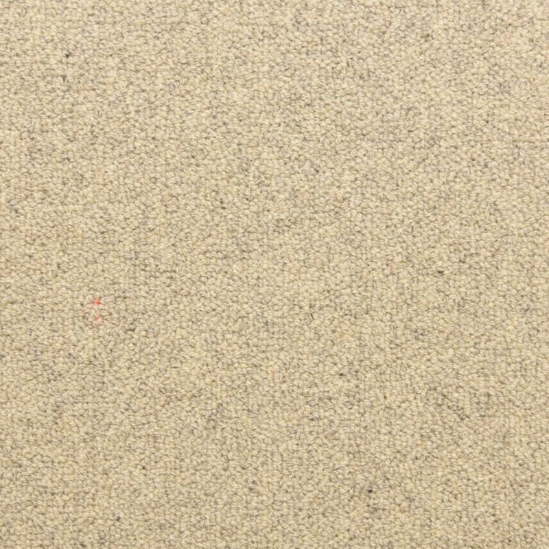 Grantham carpet by Masland