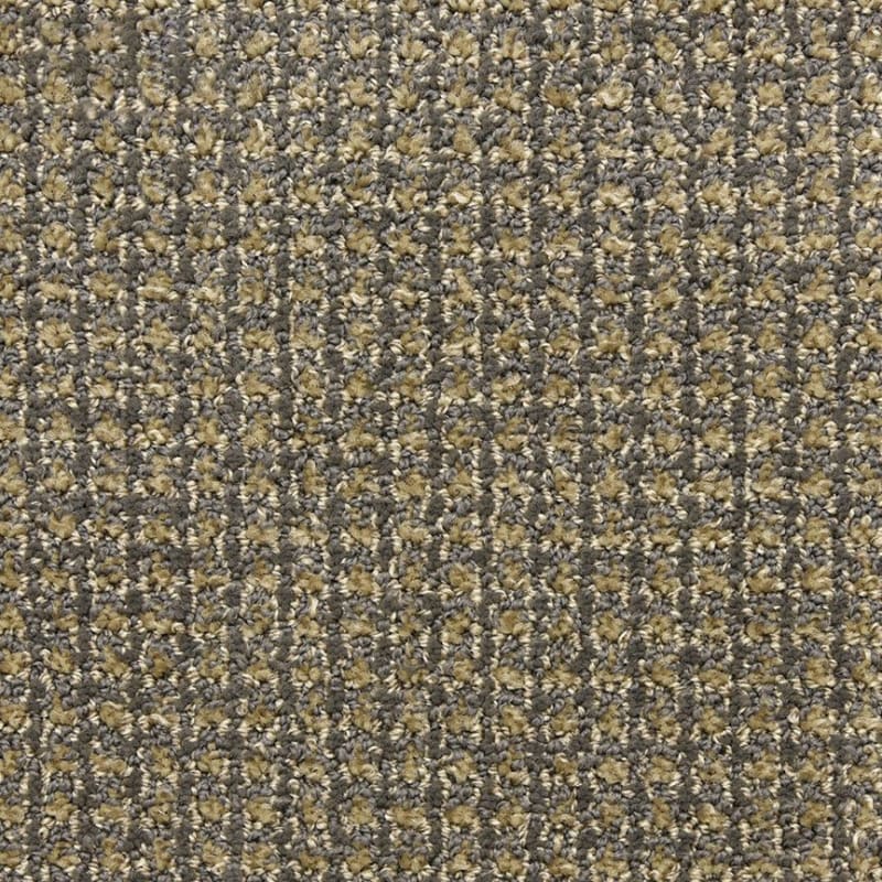 Alpha carpet by Masland