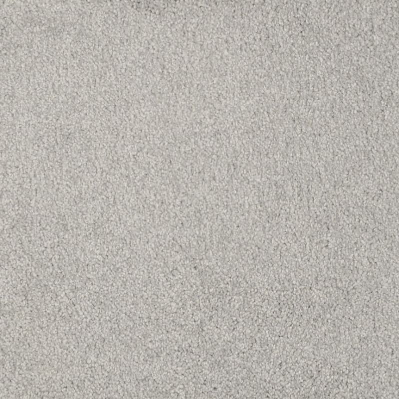 Miami carpet by Masland