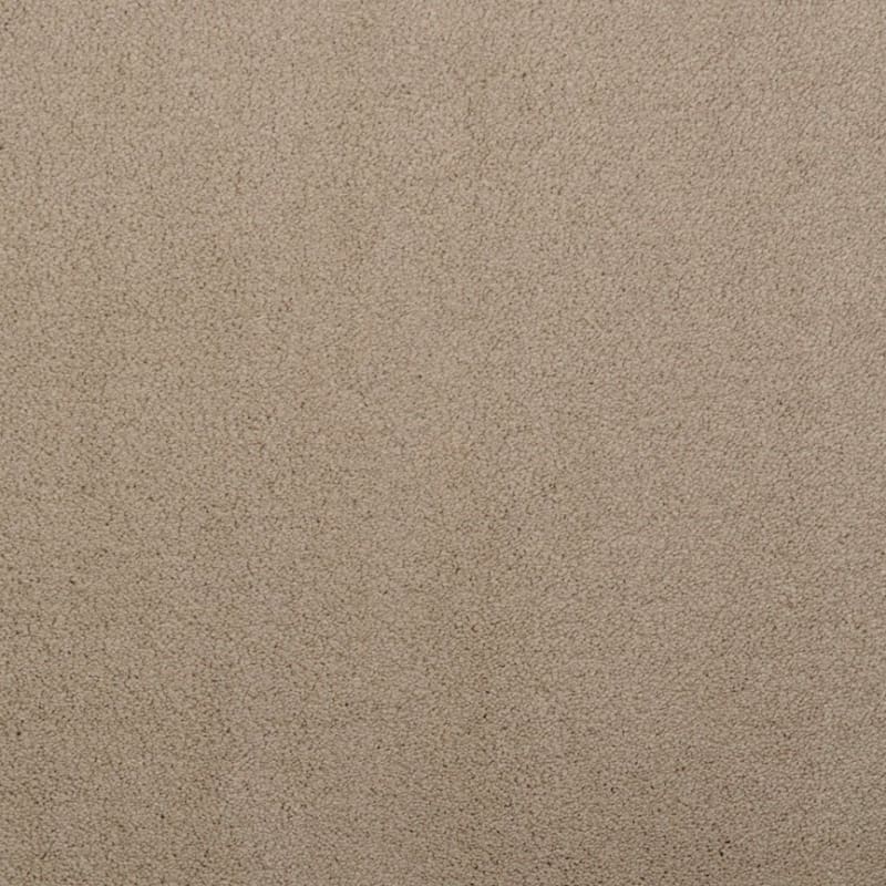 Silk Touch carpet by Masland