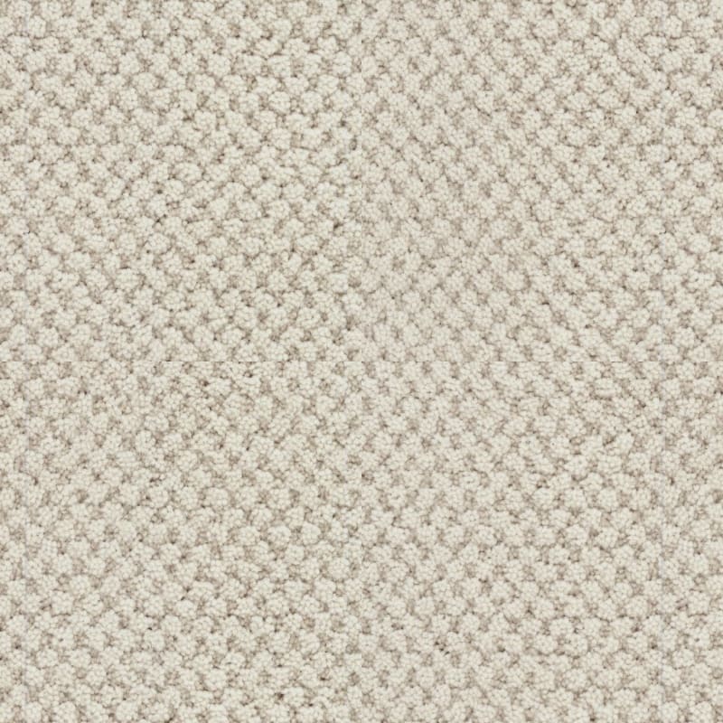 La Parade carpet by Masland