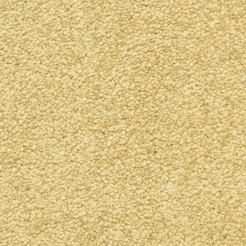Vero Beach carpet by Masland