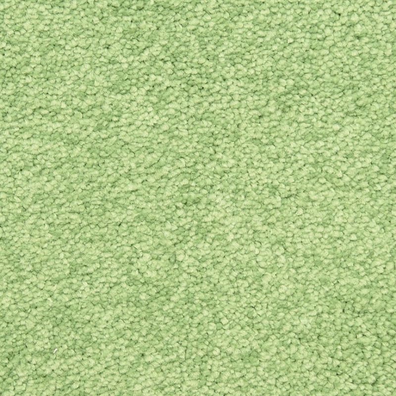 Morgan Bay carpet by Masland