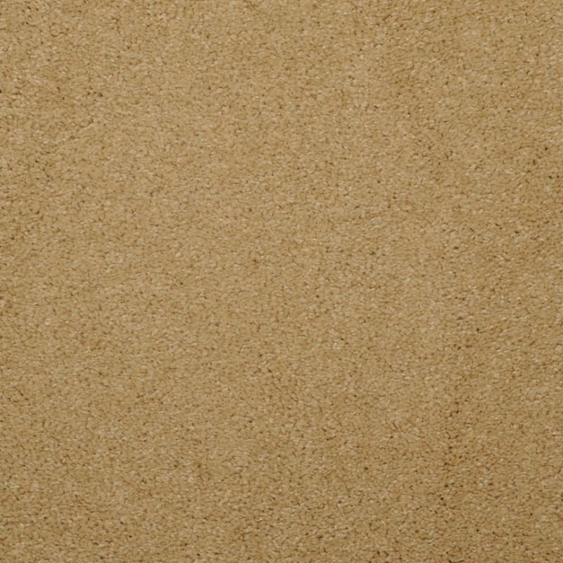 Embrace carpet by Masland