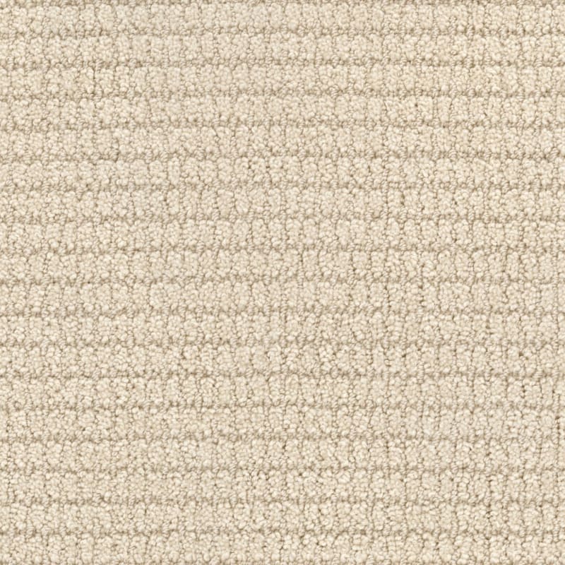 Defined carpet by Masland