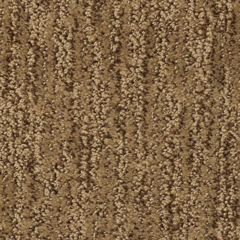 Mesa Verde carpet by Masland