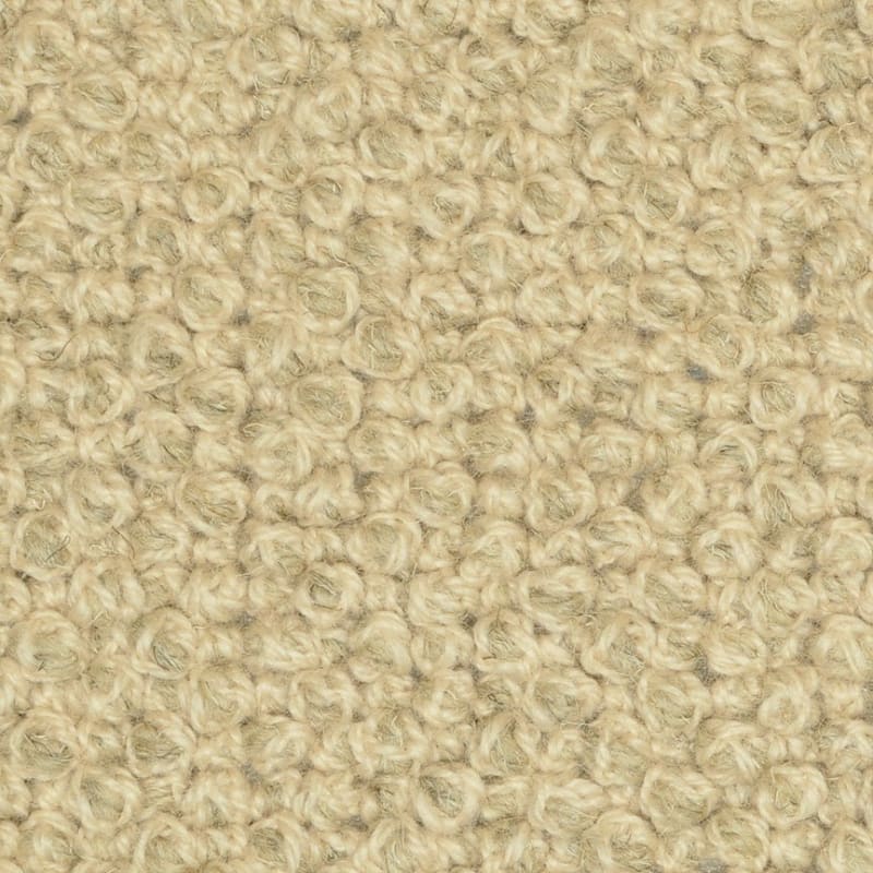 Romance carpet by Masland