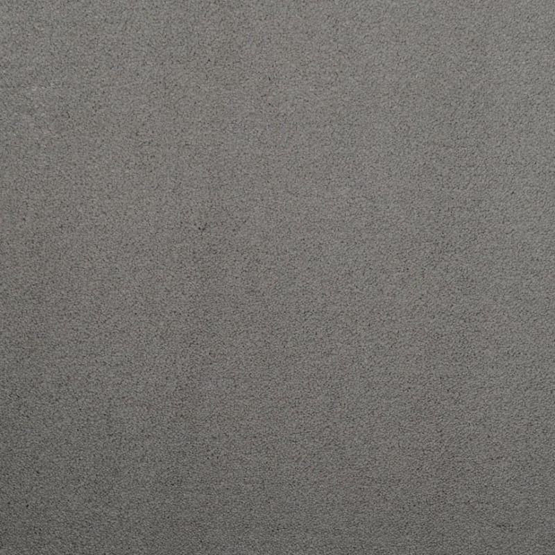 Silk Touch carpet by Masland