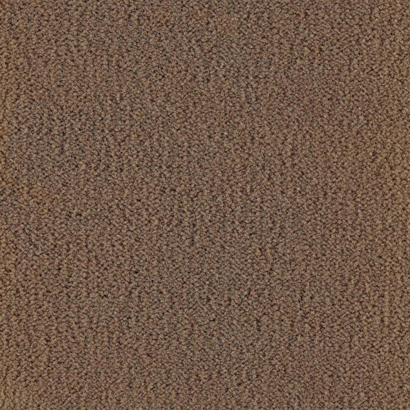 Panache carpet by Masland