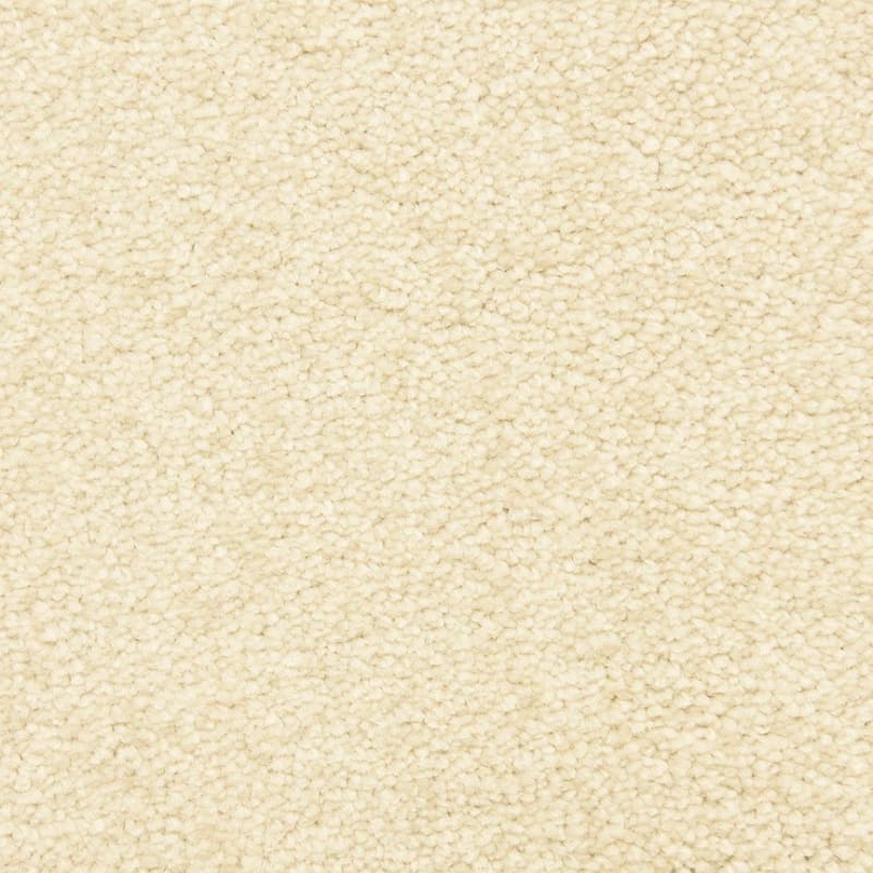 Morgan Bay carpet by Masland
