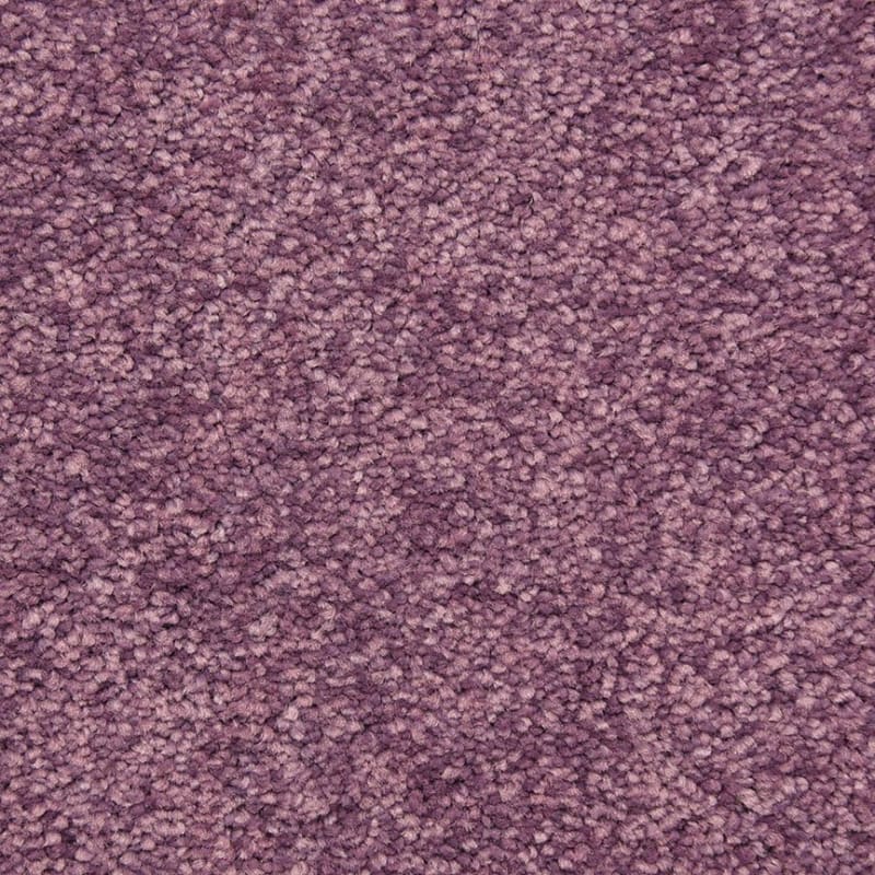 Morgan Bay carpet by Masland