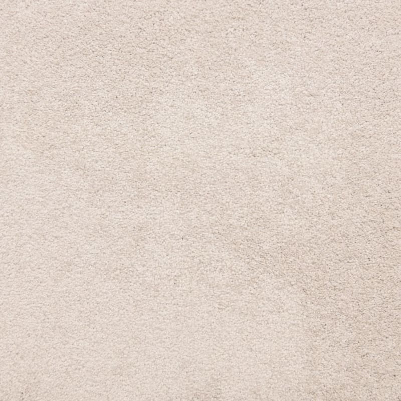 Knockout carpet by Masland