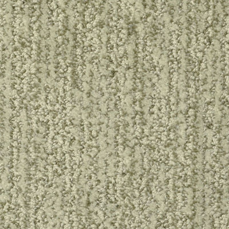 Mesa Verde carpet by Masland