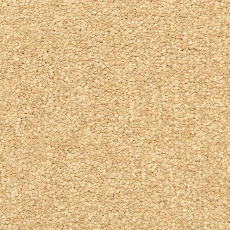 Morgan Bay carpet by Masland