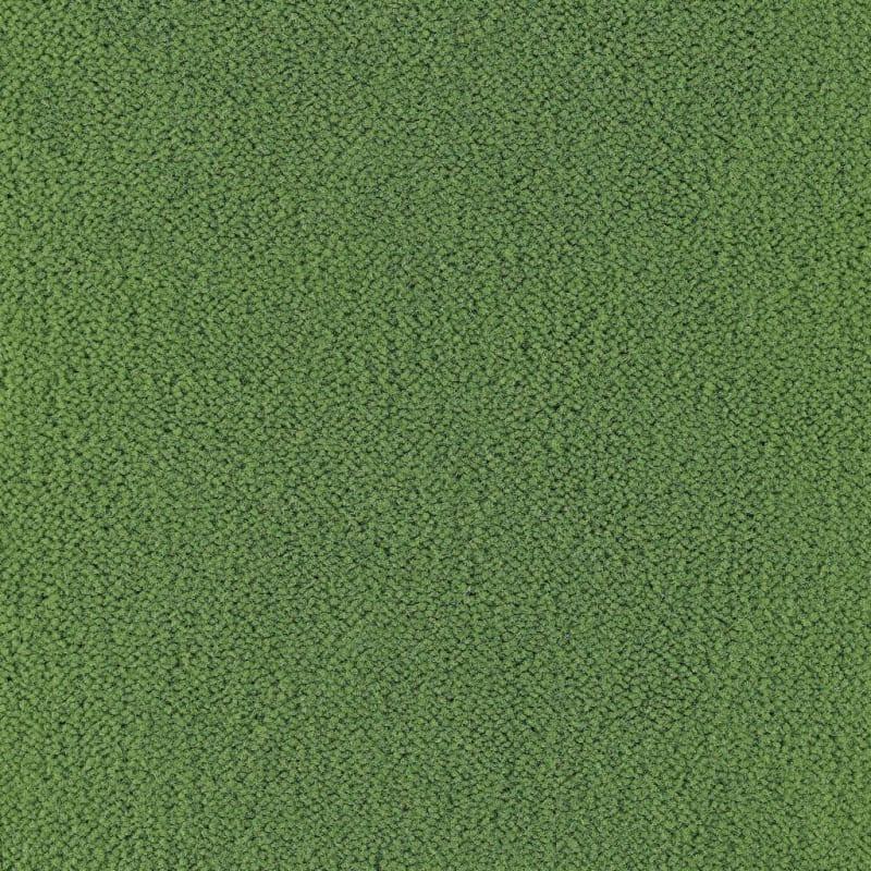 Panache carpet by Masland