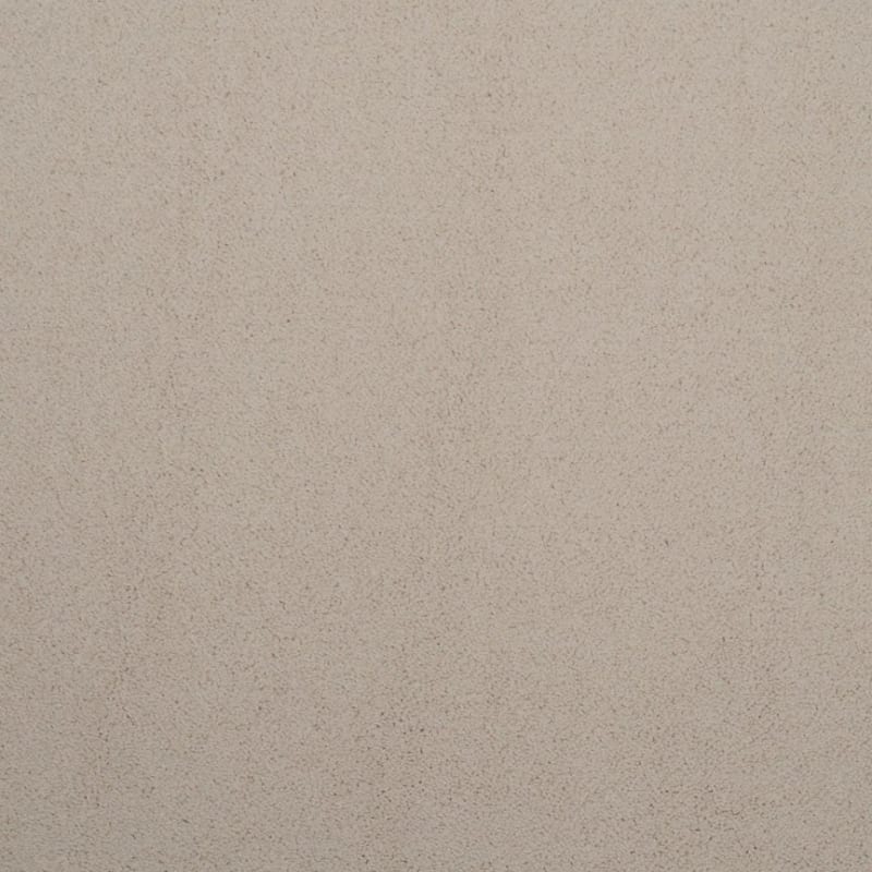 Silk Touch carpet by Masland