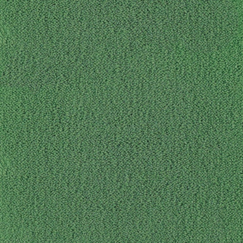 Panache carpet by Masland