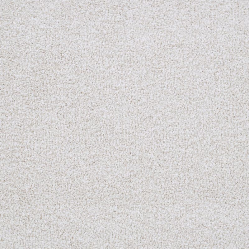 St. Augustine carpet by Masland