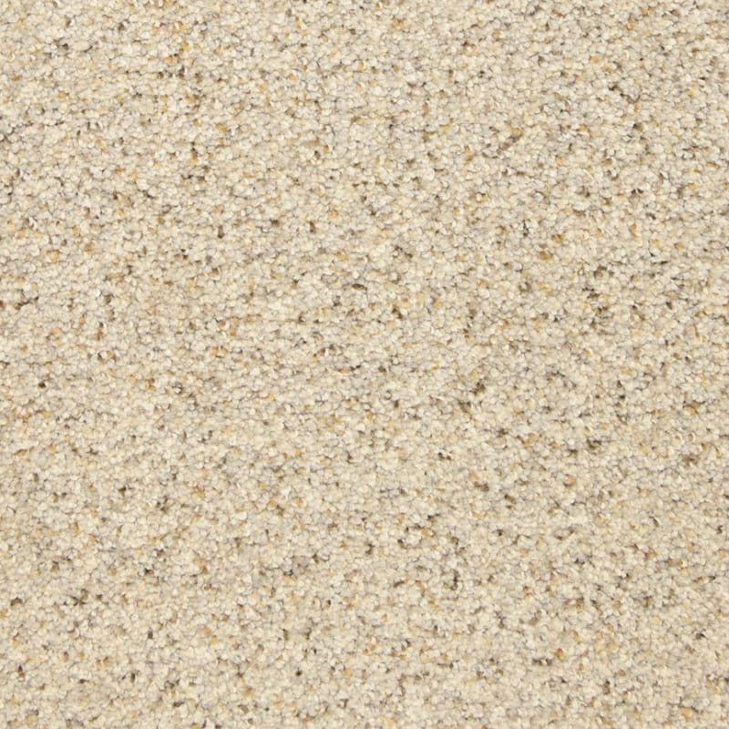 This And That carpet by Masland