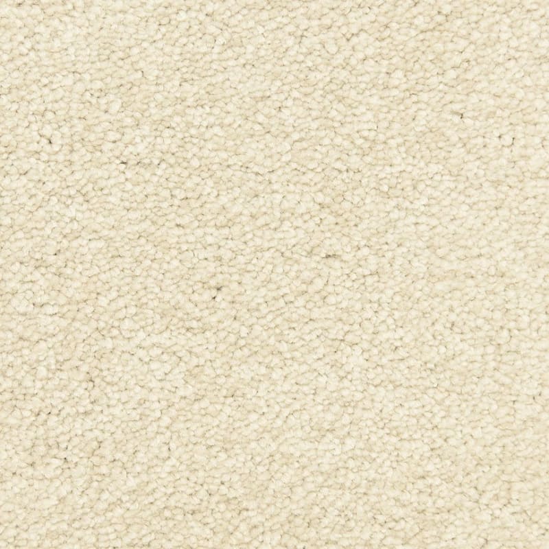 Morgan Bay carpet by Masland