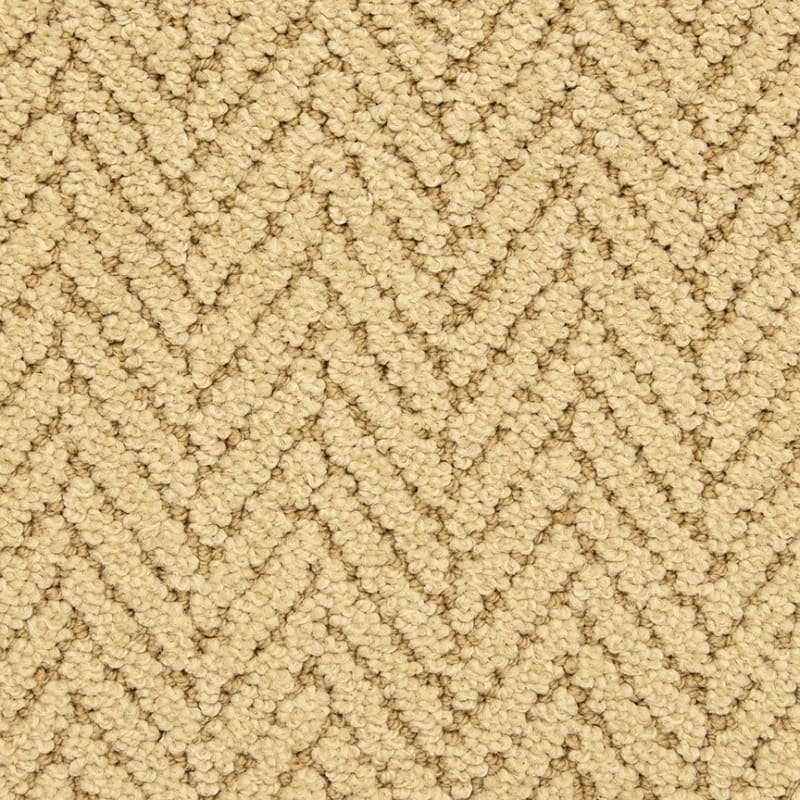 Distinguished carpet by Masland