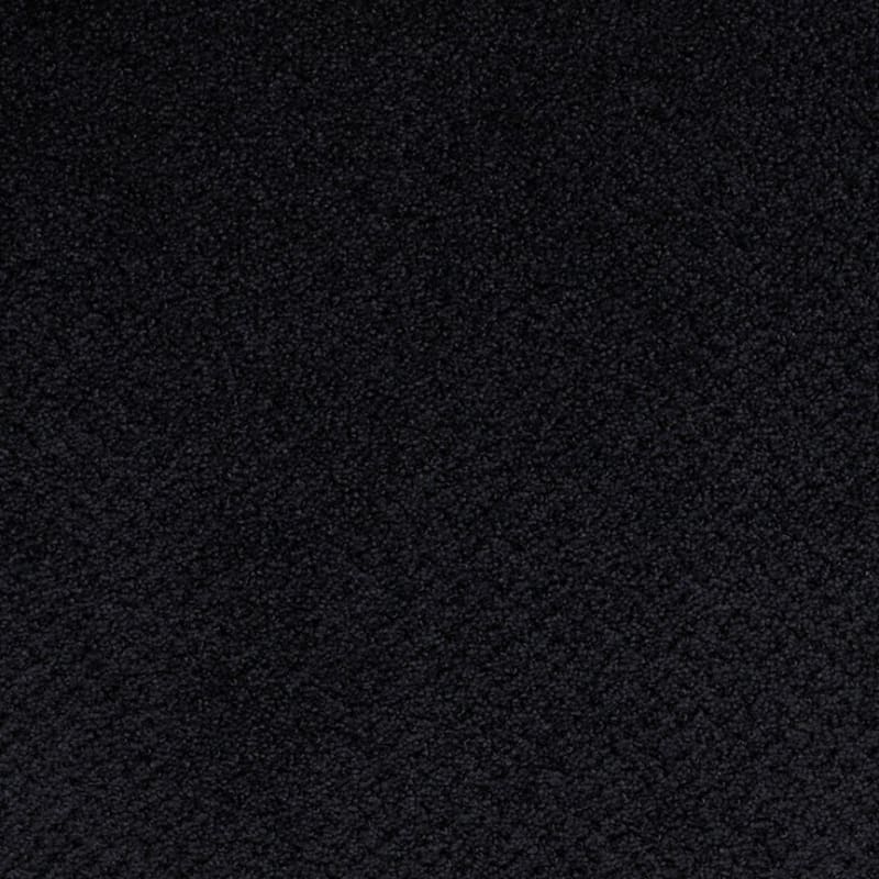 Montauk carpet by Masland