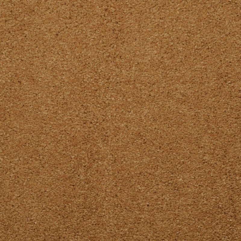 Embrace carpet by Masland