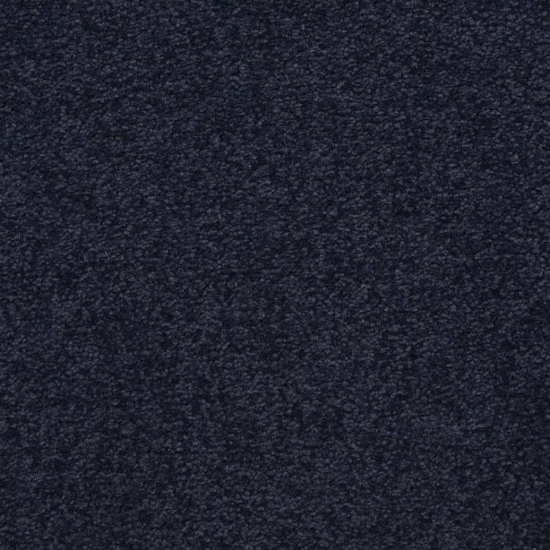 Patriot carpet by Masland